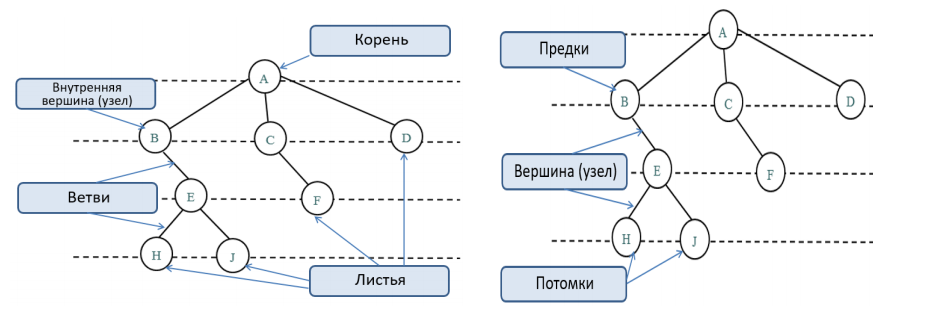 Дерево как структура данных OTUS