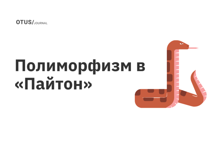 Полиморфизм в «Пайтон» Полиморфизм в «Пайтон»