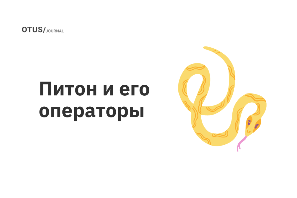 Питон и его операторы