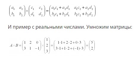 Матрица: описание, особенности, принципы работы с ней