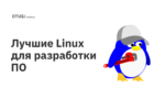 Лучшие Linux для разработки ПО