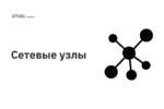 Сетевые узлы