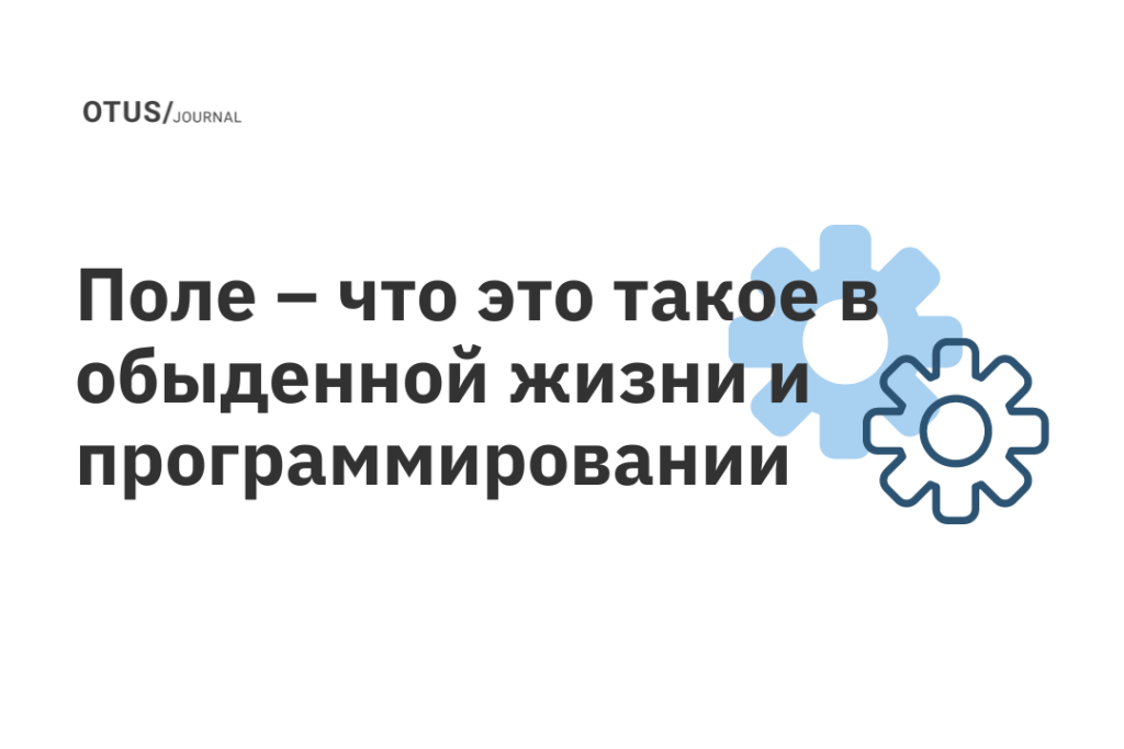 Поле – что это такое в обыденной жизни и программировании
