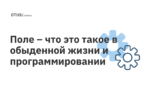 Поле – что это такое в обыденной жизни и программировании