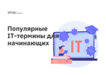 Популярные IT-термины для начинающих Популярные IT-термины для начинающих