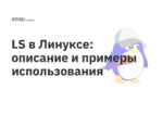 LS в Линуксе: описание и примеры использования