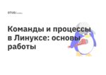 Команды и процессы в Линуксе: основы работы Команды и процессы в Линуксе: основы работы