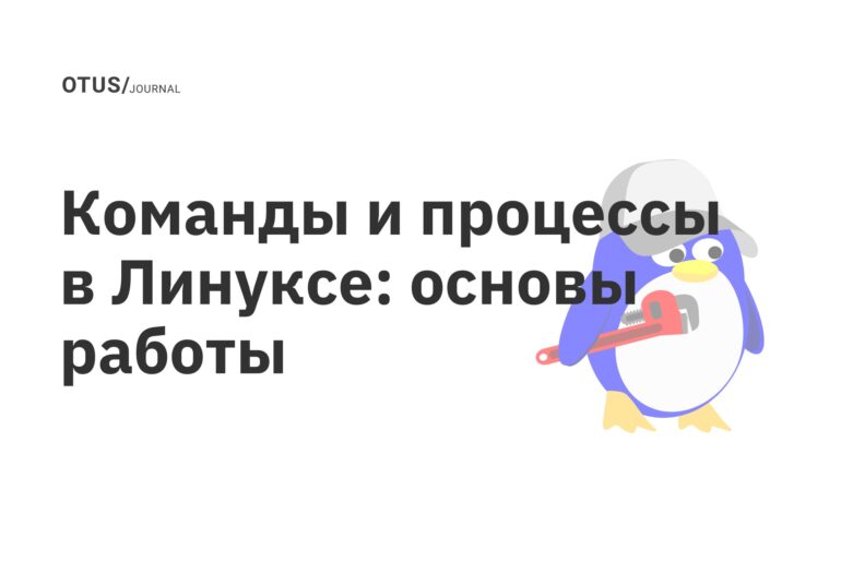 Команды и процессы в Линуксе: основы работы