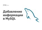 Добавление информации в MySQL Добавление информации в MySQL