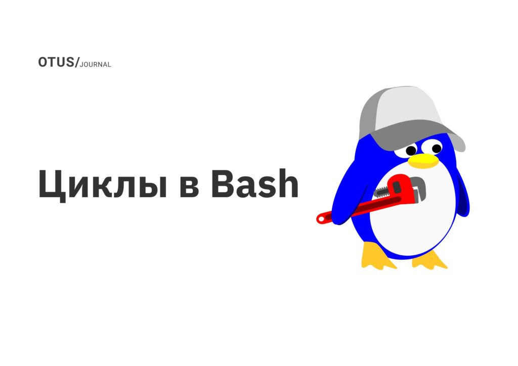 Циклы в Bash
