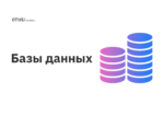 Базы данных Базы данных