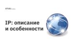 IP: описание и особенности IP: описание и особенности