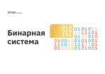 Бинарная система Бинарная система