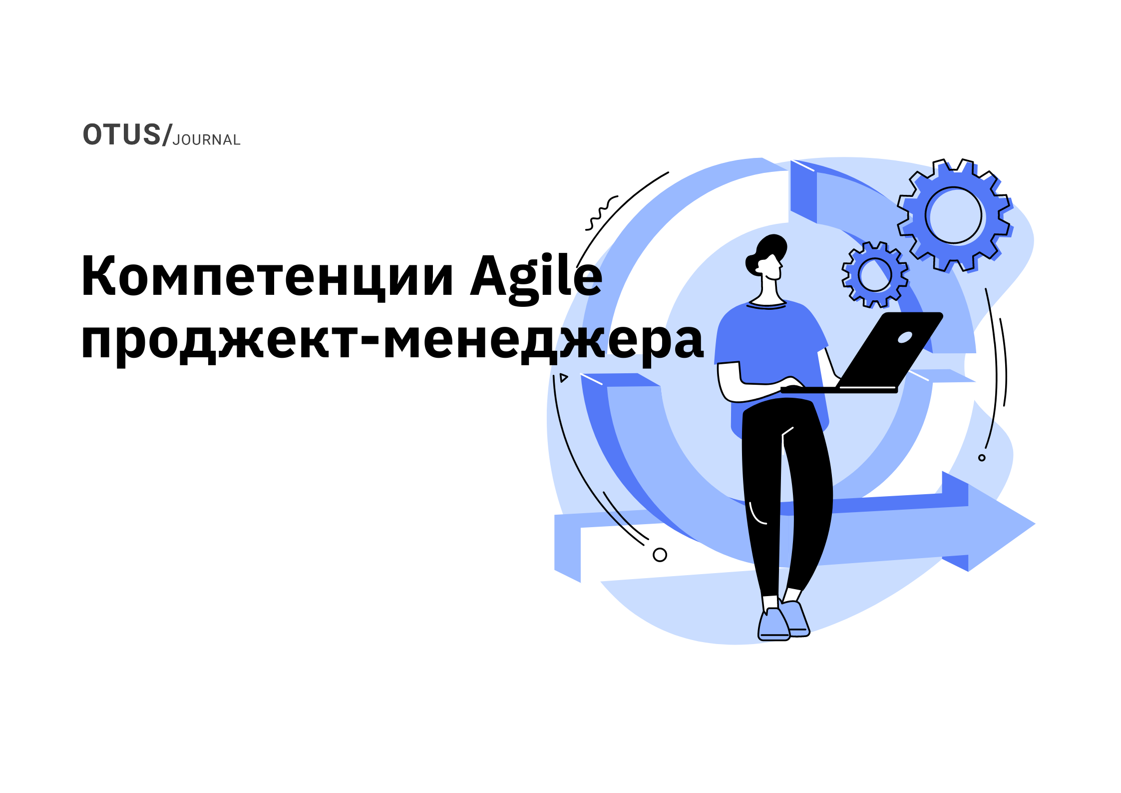 Компетенции Agile проджект-менеджера: что важно уметь лидеру команды?