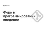 Форк в программировании: введение Форк в программировании: введение
