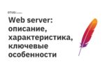 Web server: описание, характеристика, ключевые особенности Web server: описание, характеристика, ключевые особенности