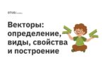 Векторы: определение, виды, свойства и построение