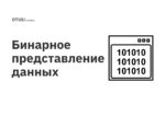 Бинарное представление данных Бинарное представление данных