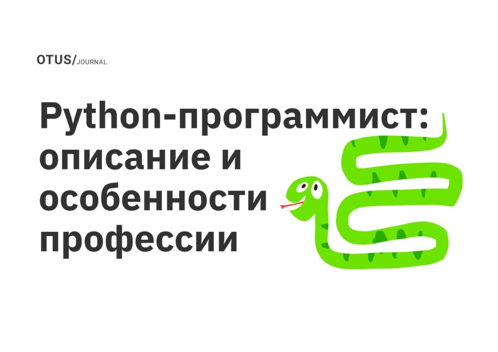Python-программист: описание и особенности профессии