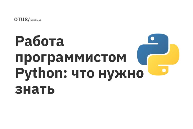 Работа программистом Python: что нужно знать